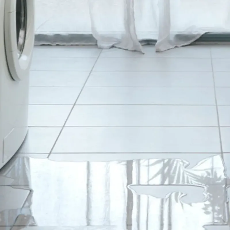 Appliance Leak Cleanup in Jonesville, MI