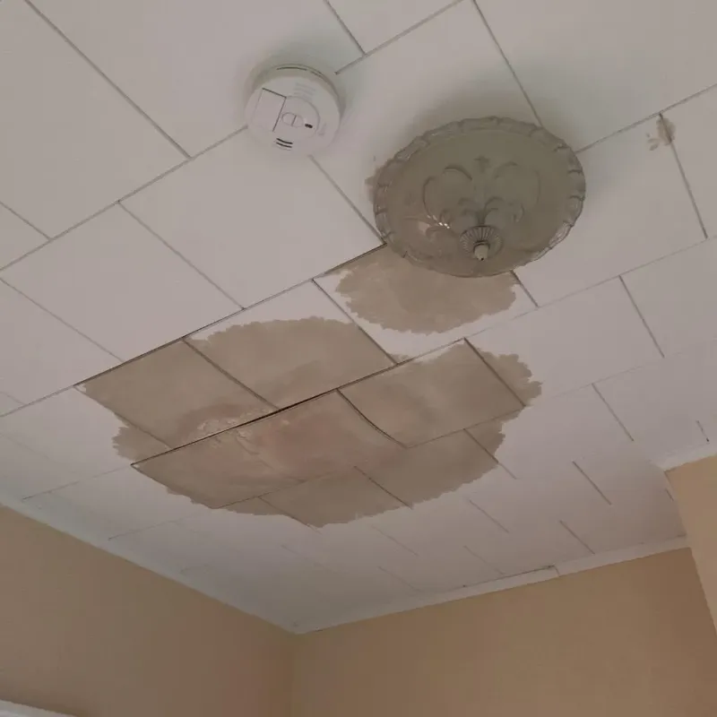 Ceiling Water Damage Repair in Jonesville, MI