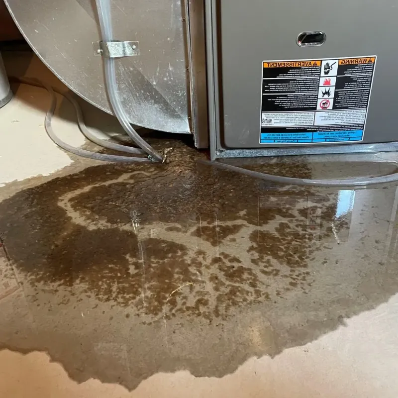 Pipe Burst and Leak Restoration in Jonesville, MI