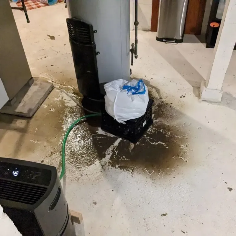 Sewage Backup Cleanup Service in Jonesville, MI